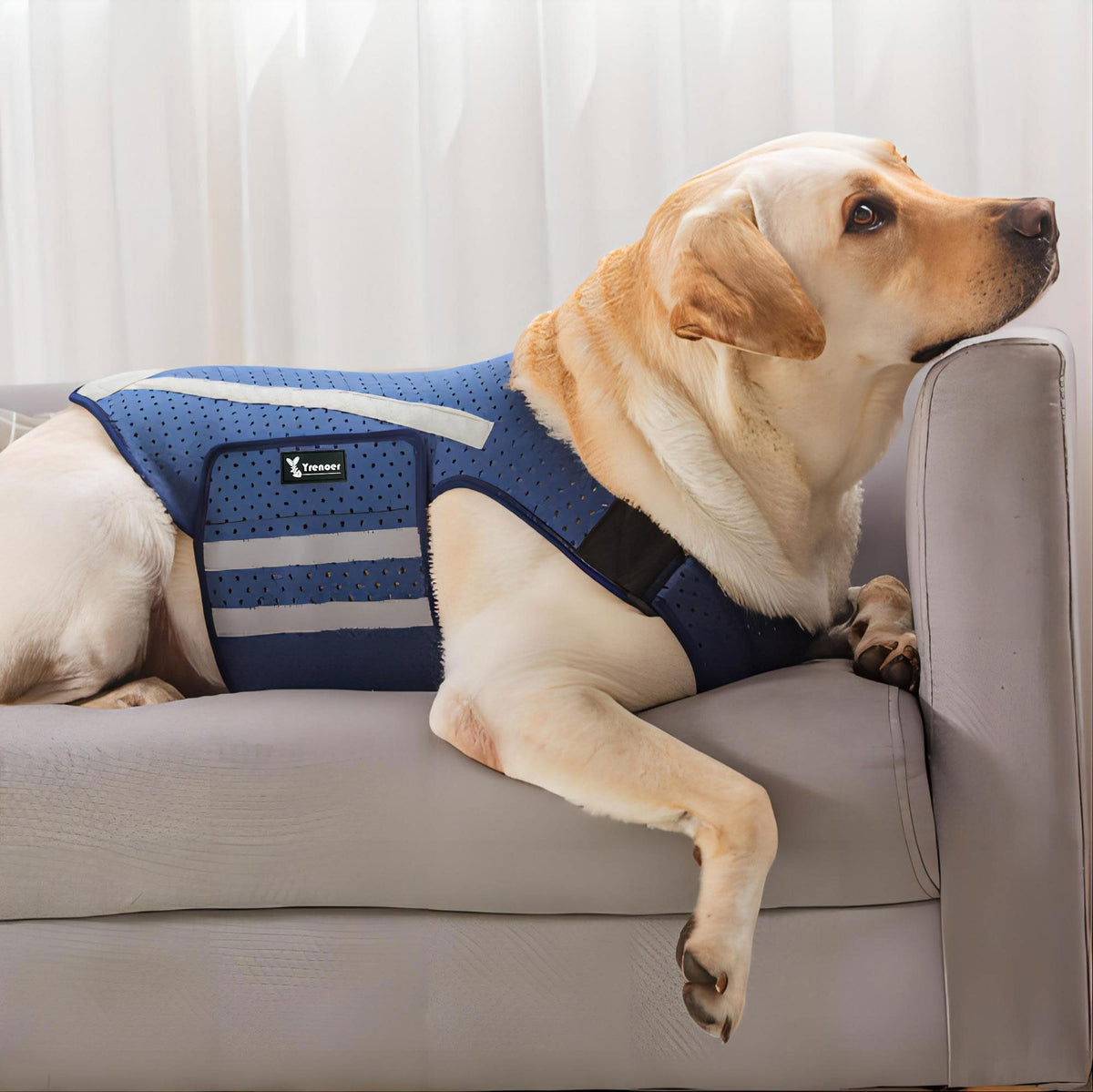Yrenoer Dog Anxiety Vest Comfort Dog Anxiety Relief Jacket Breathable Shirts for Dogs Soft Dog Anxiety Coat Vest Puppy Anxiety Warp Calming Shirt for Pet (XS Blue)